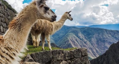 Pick a country | Lokal Travel Pick a country | Lokal Travel