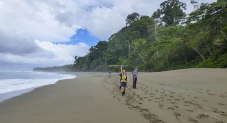 Corcovado Beach Trek and La Leona Ecolodge