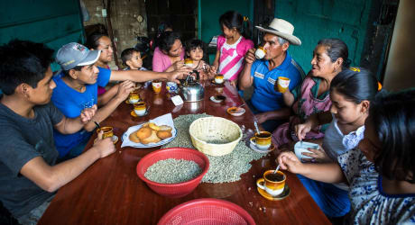 Day with Guatemalan Coffee Farmers