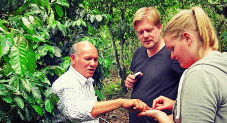 Overnight Coffee or Cacao Tour in the Jungle of Cusco