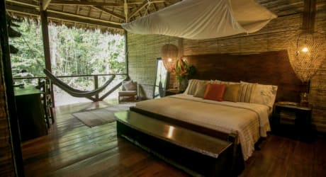 Refugios Amazonas Eco Lodge: Nature Adventure in Tambopata Reserve