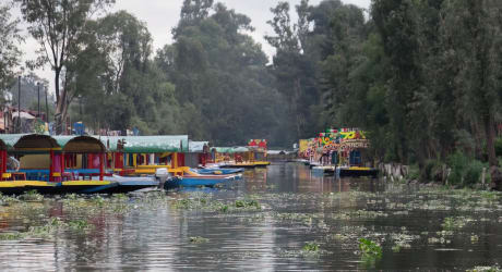 Xochimilco Floating Gardens, Canals and Local Food