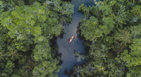 Land and Sea Maya Encounter