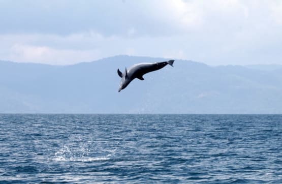 Living La Pura Vida: 12 Costa Rica Attractions You Can’t Miss 
