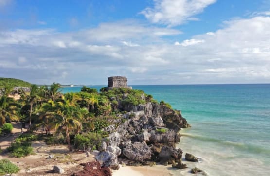 Lokal's Guide to Mexico
