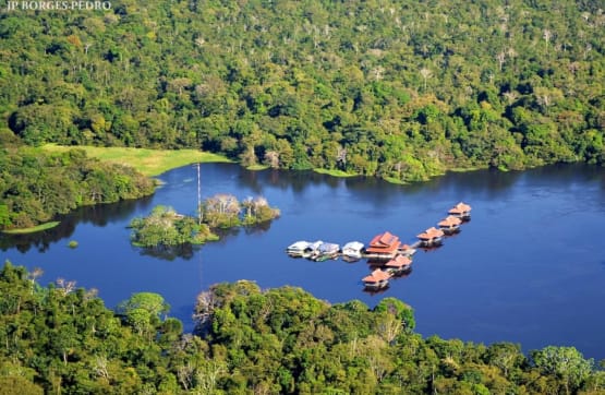 Explore the Brazilian Amazon with Uakari Lodge