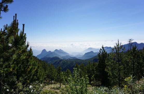 Explore Mexico's Mountains and Oceans: From Sea to Sky