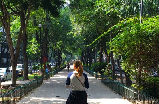 What’s the Capital of Mexico and Why You Can't Miss It