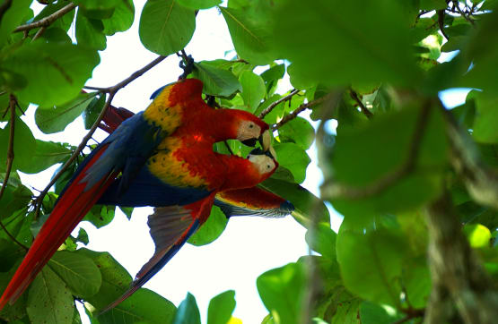 Keeping it Real: 3 Costa Rica Travel Tips for Sustainable Travel