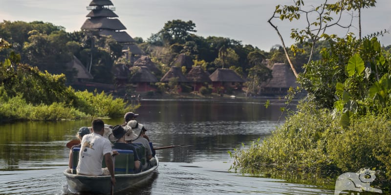 Napo Wildlife and Ecolodge Experience in Yasuni National Park