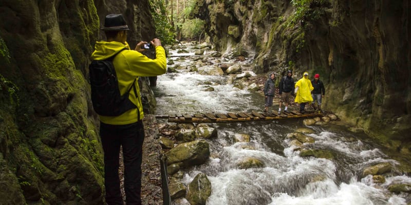 Sierra Gorda Ecotours