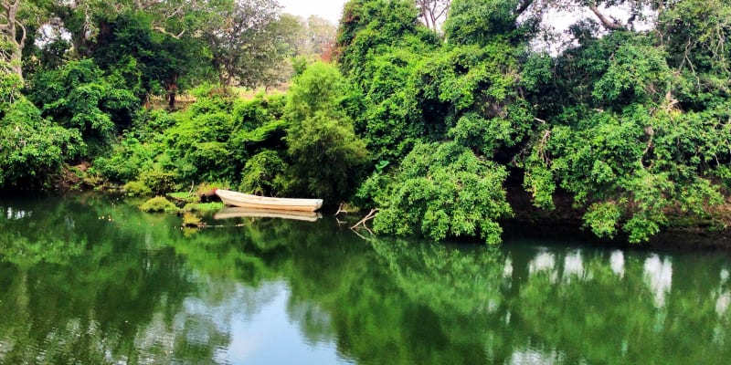 The Green South of Veracruz