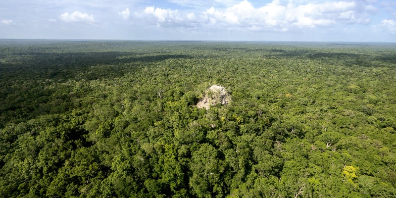 5-Day Mayan Jungle Expedition to El Mirador