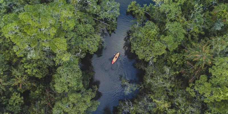 Land and Sea Maya Encounter