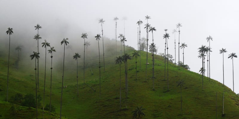 Classic Colombia: From Bogota to Cartagena