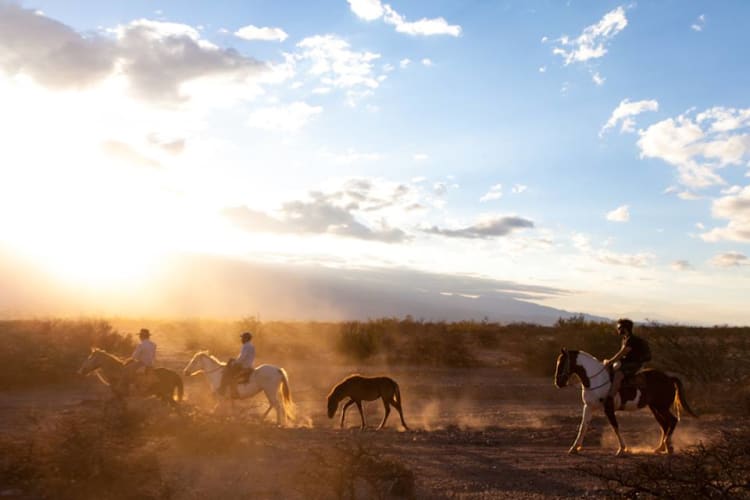 origins argentina travel