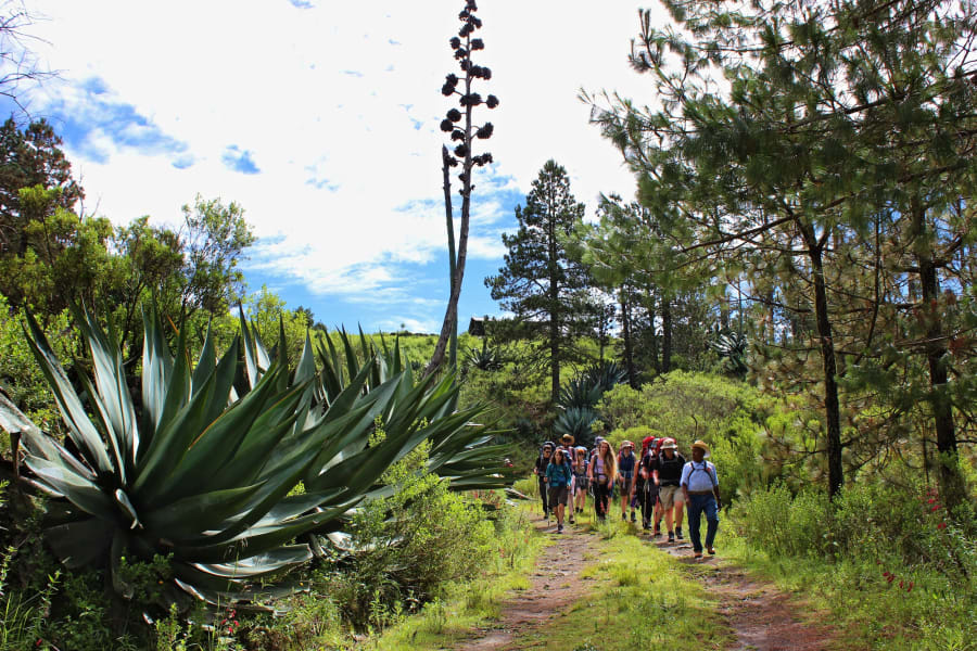 Expediciones Sierra Norte Oaxaca Mexico undefined