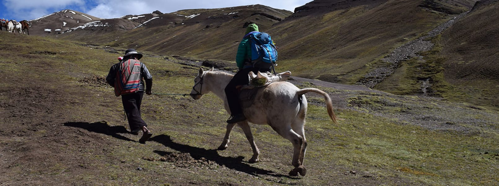 Alpaca Expeditions Cusco Peru undefined