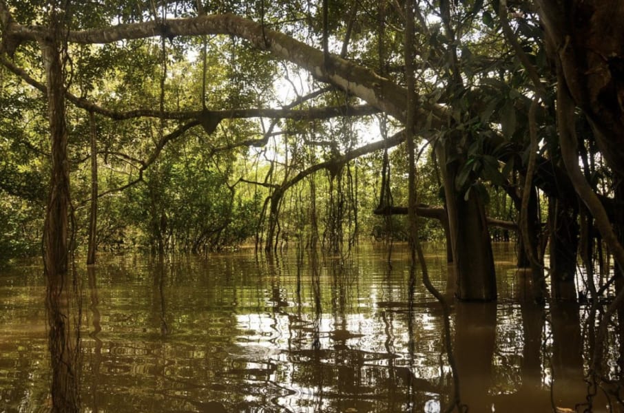 Photos of Colombian Amazon Jungle, Landscapes and Local Communities in