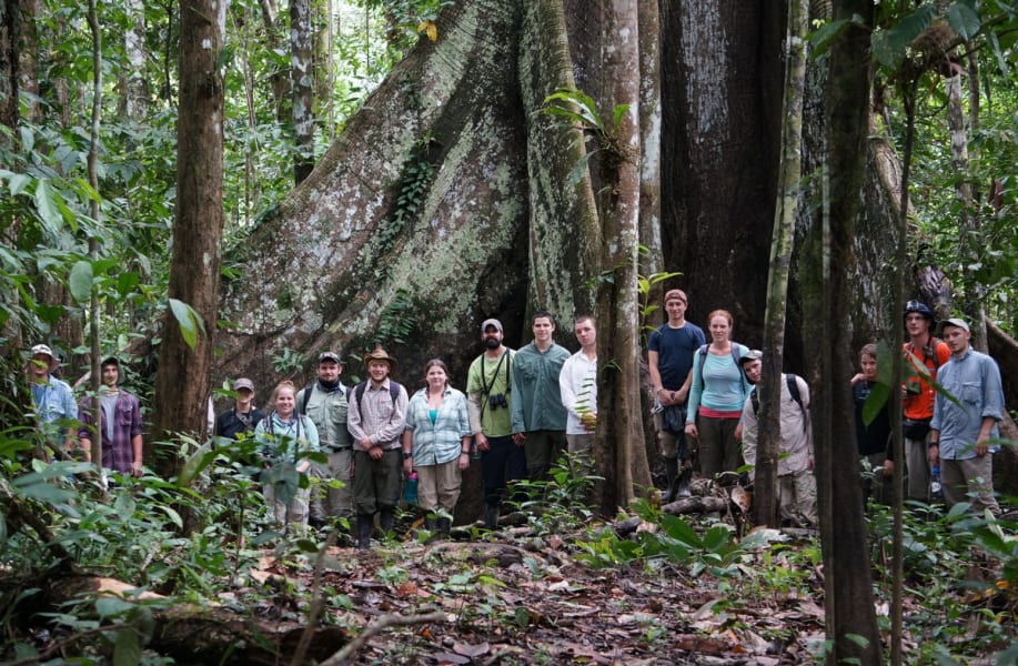 Photos of Otorongo Amazon Lodge and River Adventure in Peru