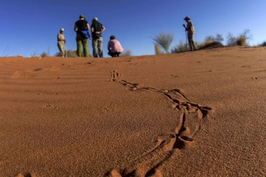 Xaus Lodge Kgalagadi Tranfrontier Park  South Africa undefined