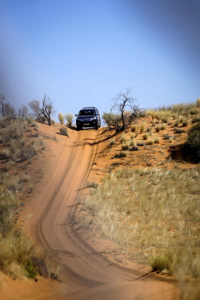 Xaus Lodge Kgalagadi Tranfrontier Park  South Africa undefined