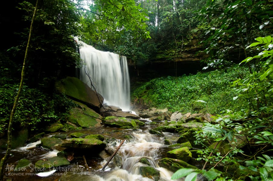 Amazon Emotions Jungle Lodge Amazon Rainforest Brazil undefined