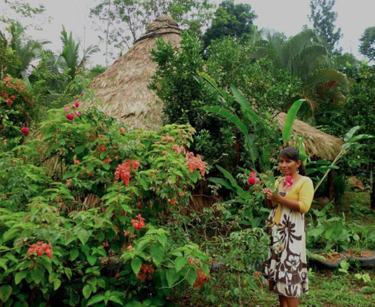 Talamanca Ecotourism and Conservation Association (ATEC) Puerto Viejo Costa Rica undefined