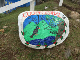 Cedral Community Cooperative