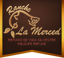 Rancho la Merced