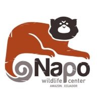 Napo Wildlife Center Ecolodge