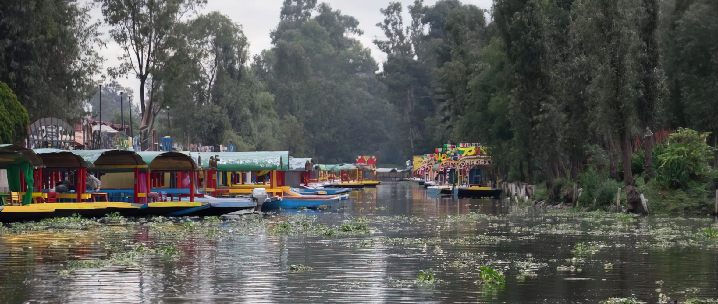 Xochimilco Floating Gardens, Canals and Local Food Tour