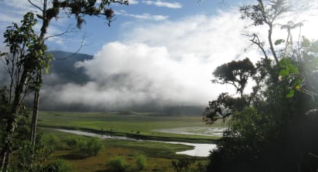 Scopri la Magia e la Bellezza della Regione Amazonas