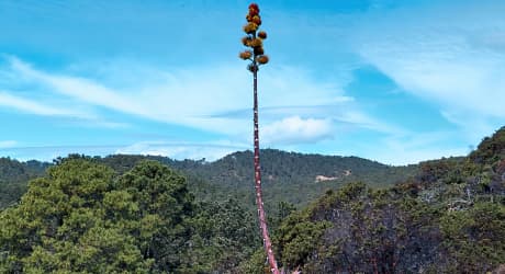 Trekking Notturno Sierra Norte nei Pueblos Mancomunados