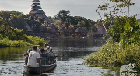 Napo Wildlife and Ecolodge Experience in Yasuni National Park