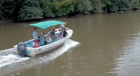 Rio Sierpe Mangrove Tour