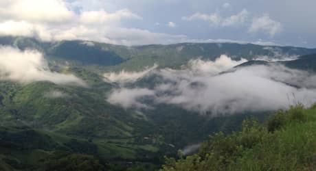 Monteverde Cloud Forest Day & Night Tour with Naturalist Guide