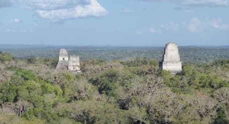 Essential Petén