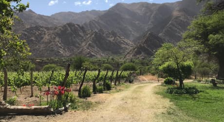 Stay with Local Winemakers in Calchaqui Valley