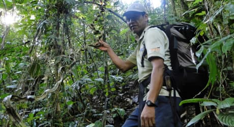 Associazione Ecoturismo e Conservazione Talamanca (ATEC)
