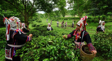 Lisu Lodge Adventure: Overnight Hill Tribe Experience