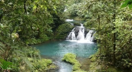 Avventura nella Wilderness del Parco Nazionale Corcovado e Drake Bay