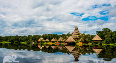 Napo Wildlife Center Ecolodge