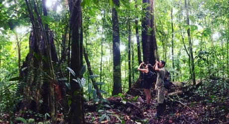 Corcovado Hike 'El Tigre'