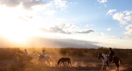 Origins Argentina Travel