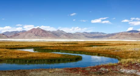 Esperienza della Vita Nomade dei Changpa