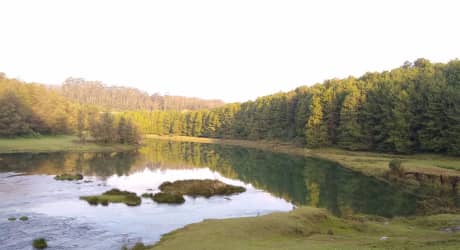 Esplora le Montagne Nilgiri: da Kerala a Tamil Nadu