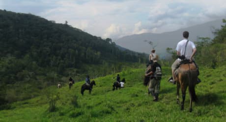 Nuevos Caminos Travel