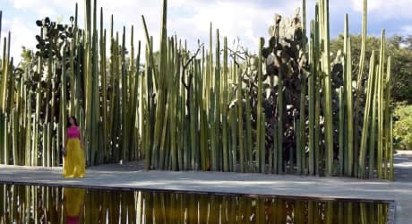 Cultura e Storia di Oaxaca
