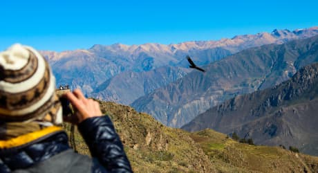 Discover Peru's Highlights